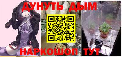 каннабис Будённовск