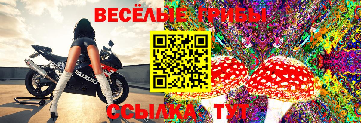 Псилоцибиновые грибы ЛСД  Вход с VPN  Батайск 