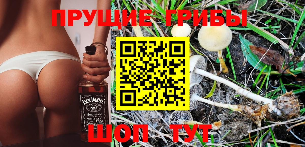 Псилоцибиновые грибы мицелий  Батайск 