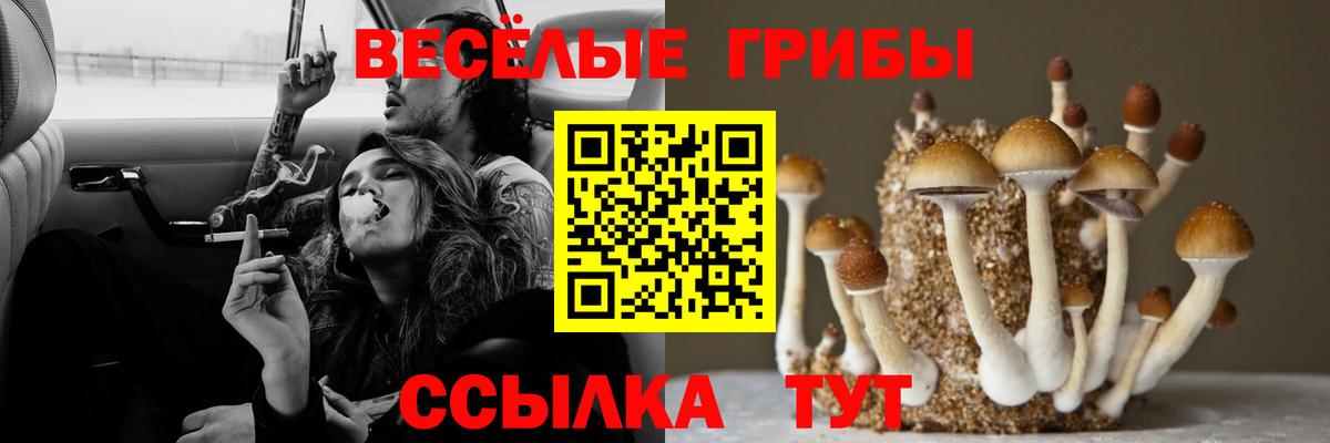 Псилоцибиновые грибы ЛСД  Батайск 